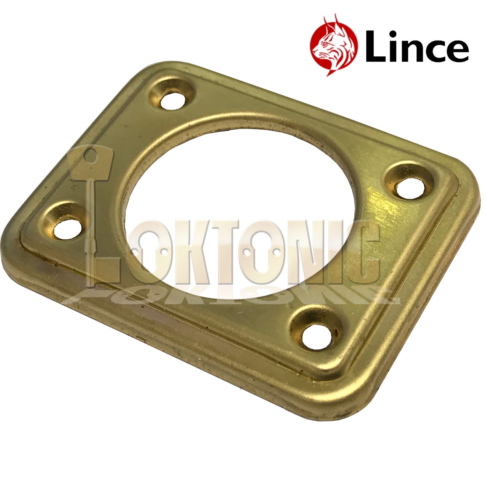 Lince 3910 Black-Grey High Security Garden Gate Shed Sliding Rim Dead Lock Bolt - Image 5